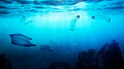 Algae Helps You Survive a Toxic World - ENERGYbits