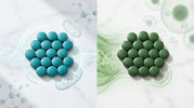 From Mitochondria to Microbiome: Why You Should Pair Spirulina and Chlorella - ENERGYbits