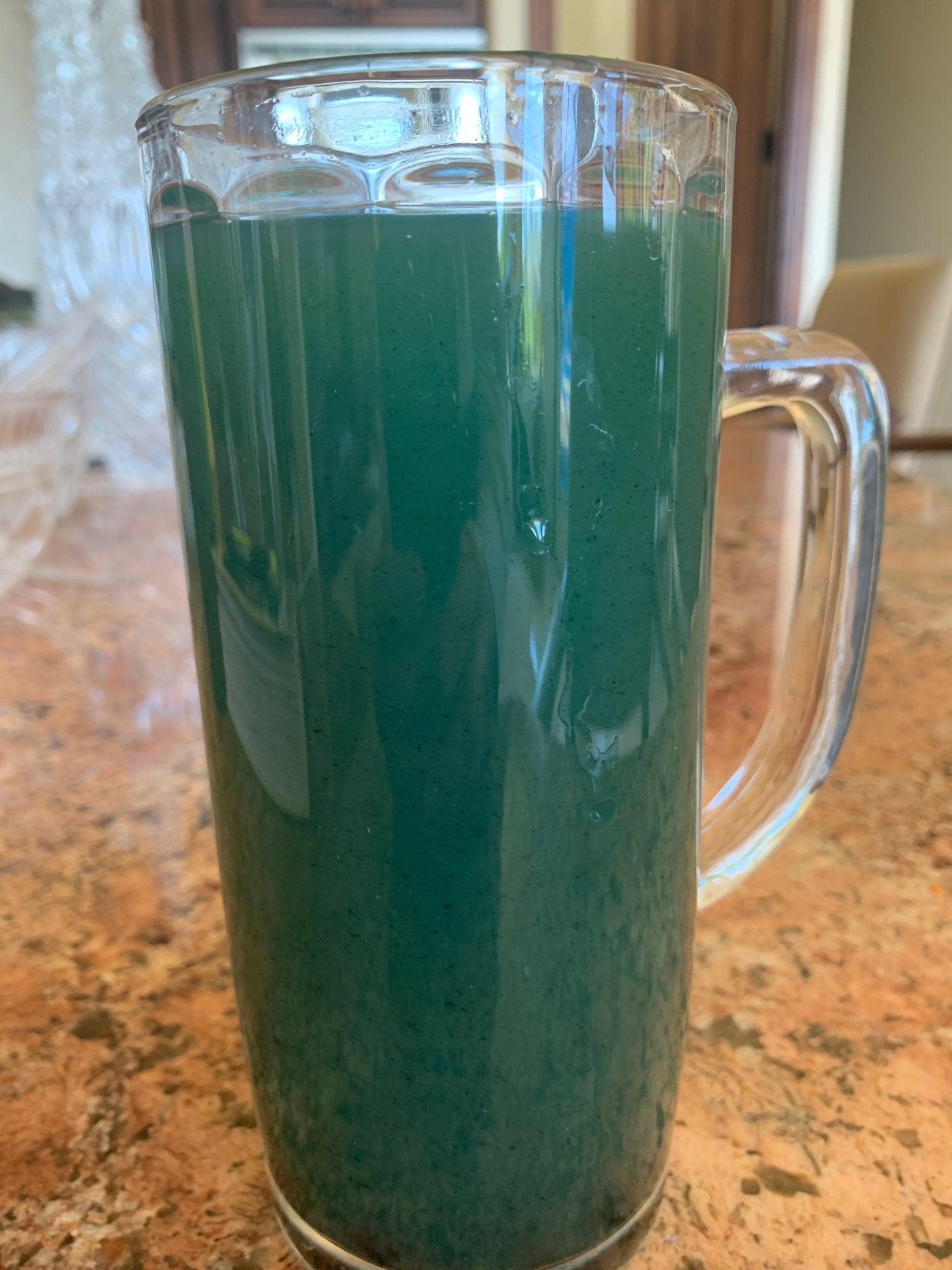 Refreshing Spirulina Summer Iced Tea - ENERGYbits