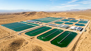 The Green Revolution You Haven't Heard Of: Why Algae is the Future of Sustainable Food - ENERGYbits