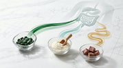 The Science of Speed: Why Algae Protein Absorbs Faster Than Meat or Whey - ENERGYbits