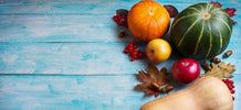 Tips to Survive Thanksgiving - ENERGYbits