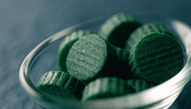 What Is Broken Cell Wall Chlorella and Why Does It Matter? - ENERGYbits