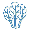 Daily Greens