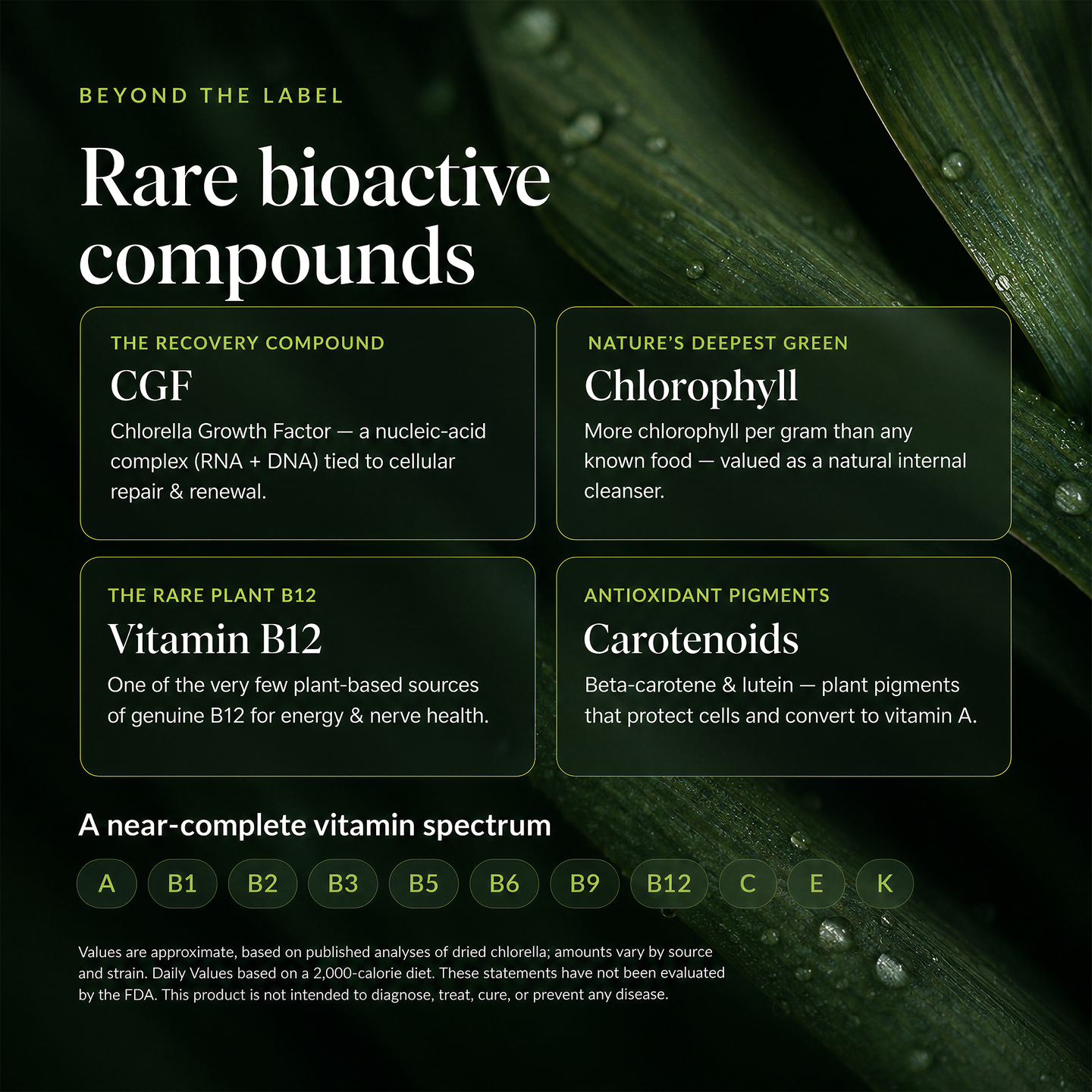 RECOVERYbits® Chlorella | Large Bag — imagen 5