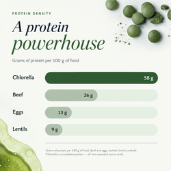 RECOVERYbits® Chlorella | Large Bag — imagen 6