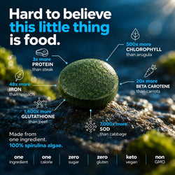 ENERGYbits® Spirulina | Large Box — imagen 3
