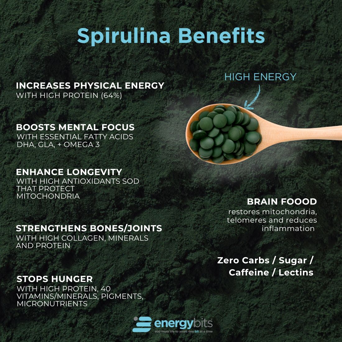 ENERGYbits® Spirulina | Large Bag - ENERGYbits