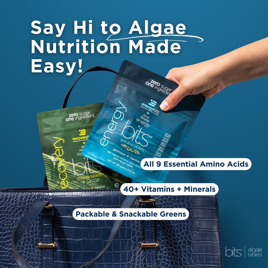 ENERGYbits® Spirulina | Large Bag - ENERGYbits