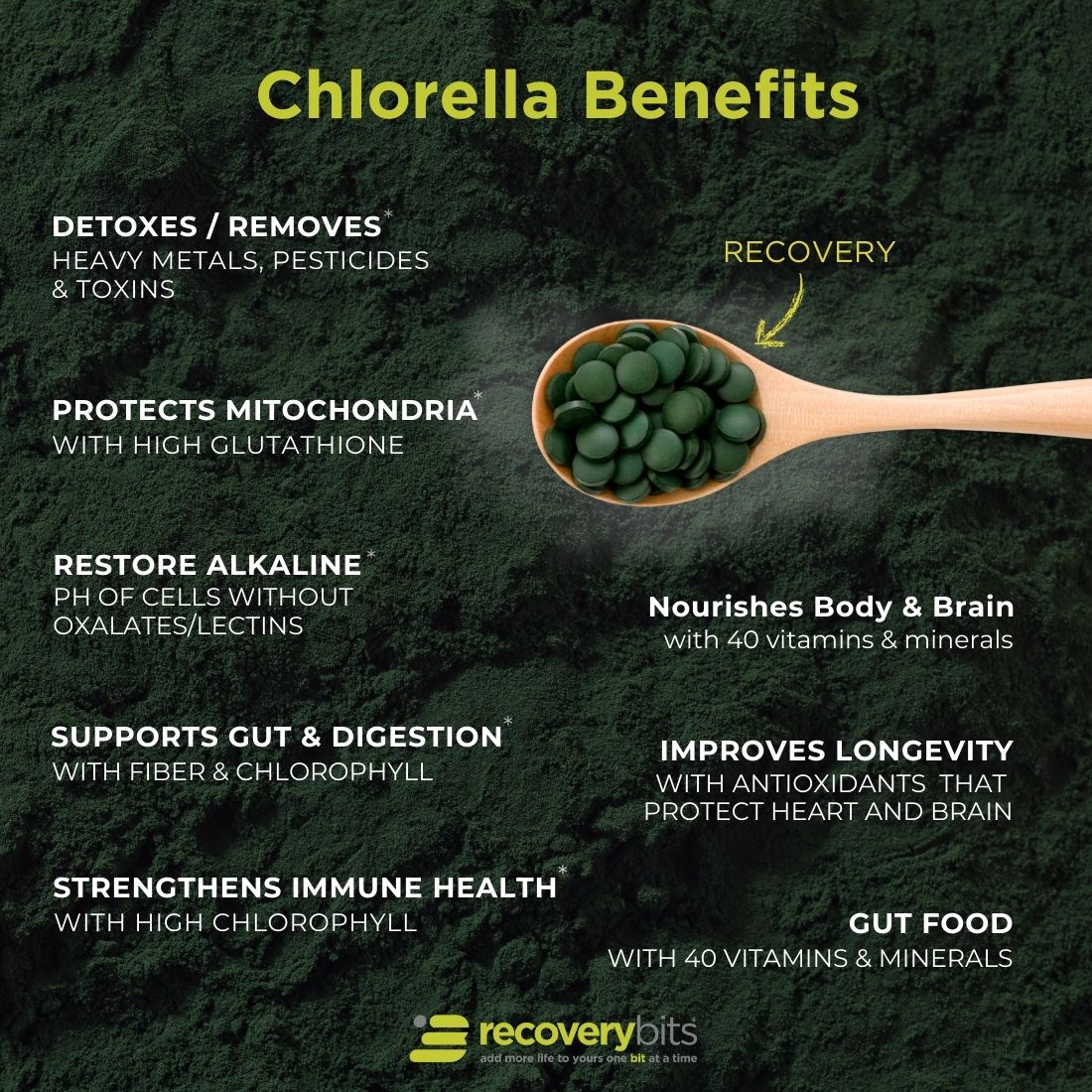 RECOVERYbits® Chlorella | Large Bag — imagen 3