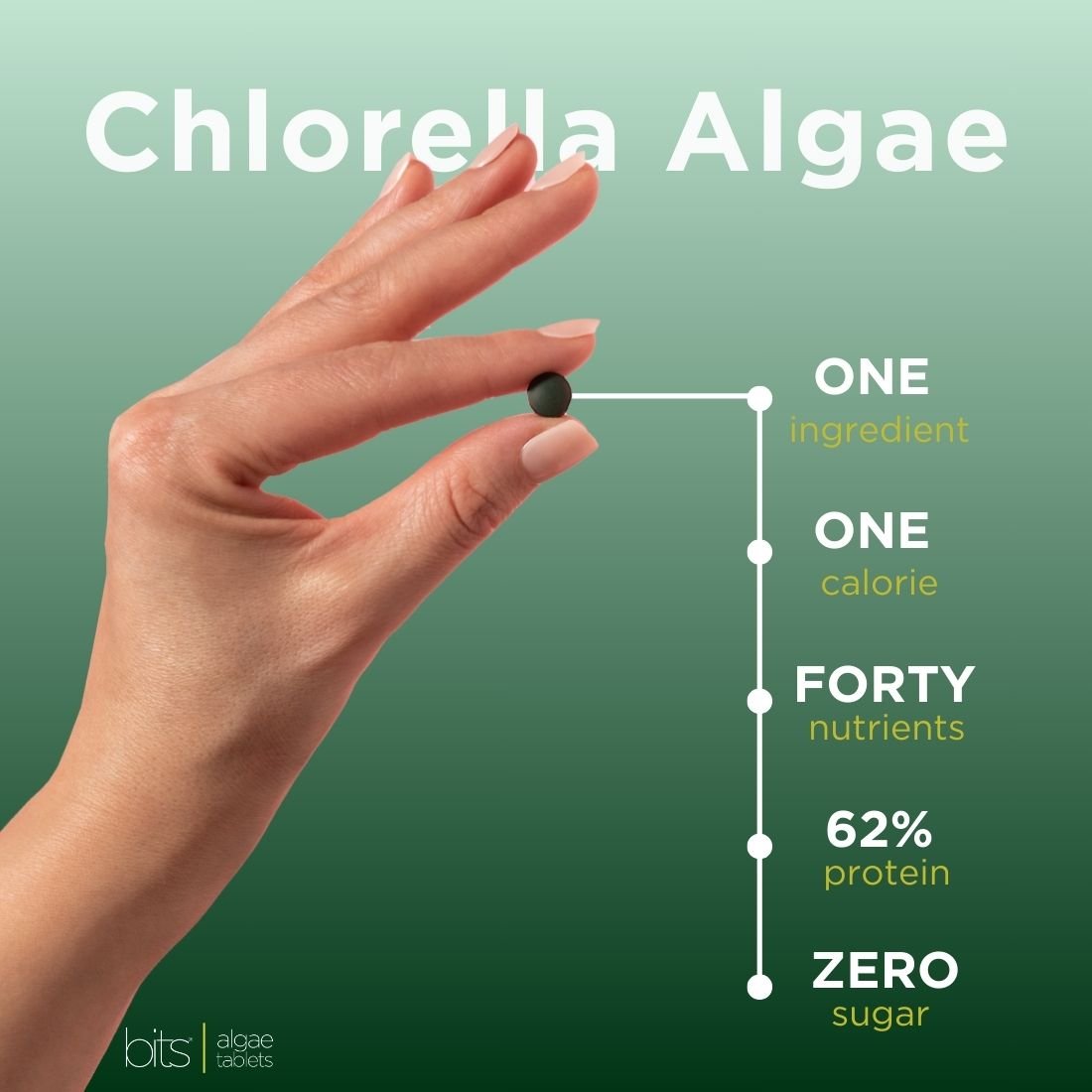 RECOVERYbits® Chlorella | Large Bag — imagen 9