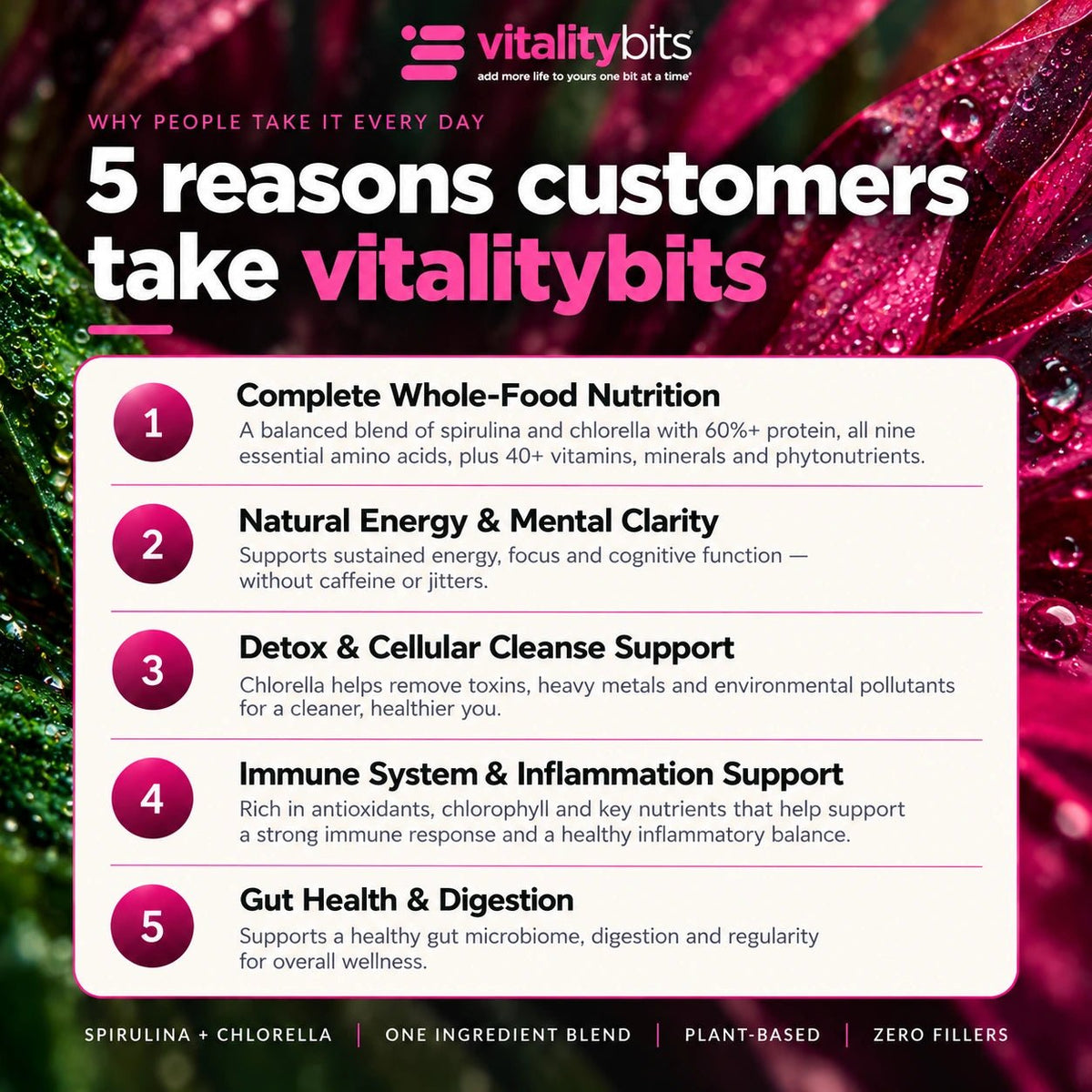 VITALITYbits® | Large Canister — imagen 5