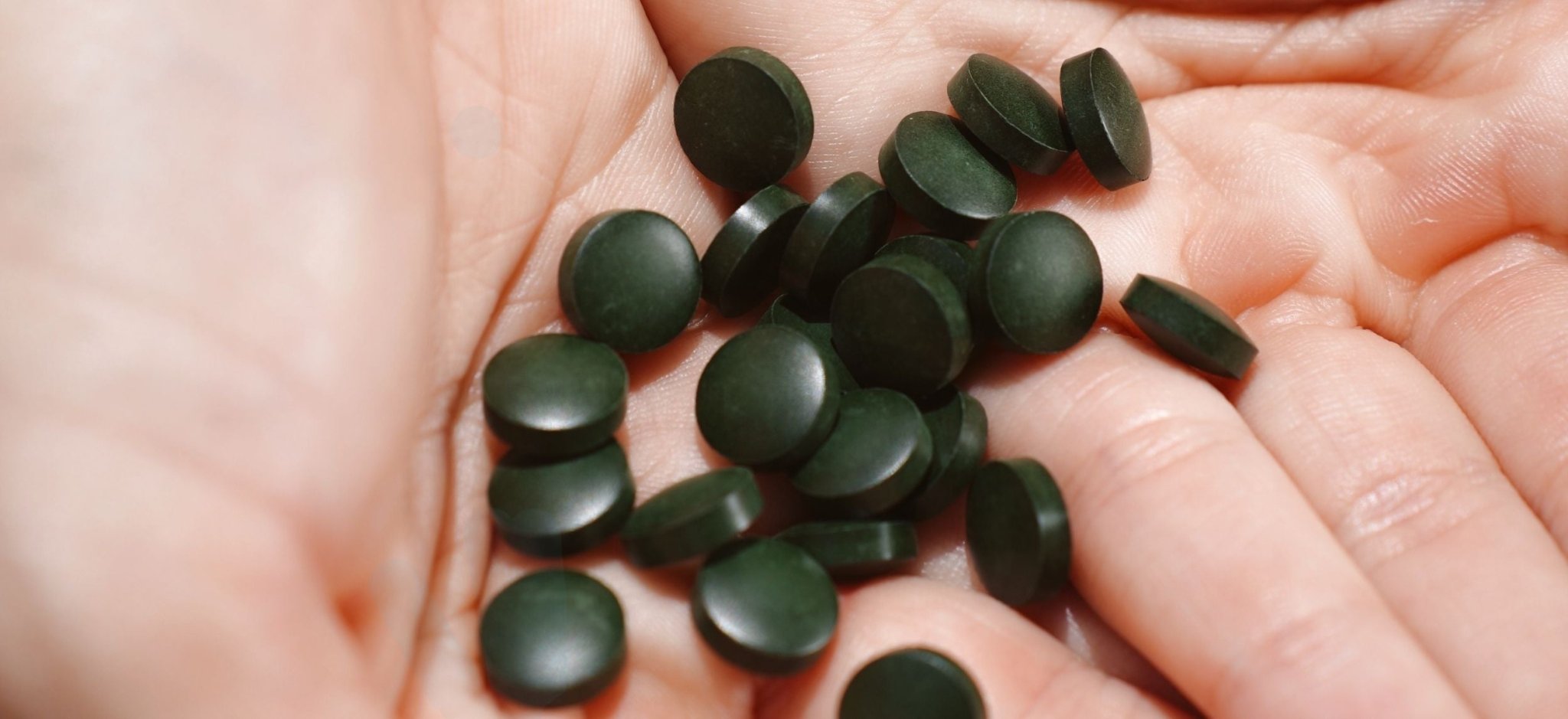 Best Algae To Eat: Types, Strains, Benefits, and Side Effects - ENERGYbits