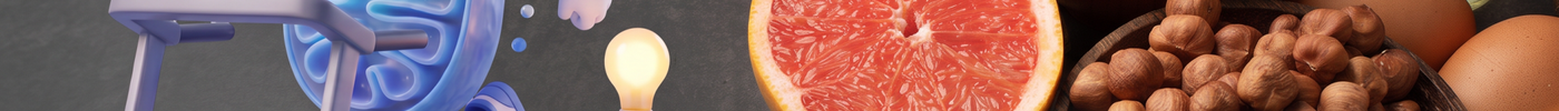 How the Brain Makes Energy: Fuels, Mitochondria, and the Nutrients Involved - ENERGYbits