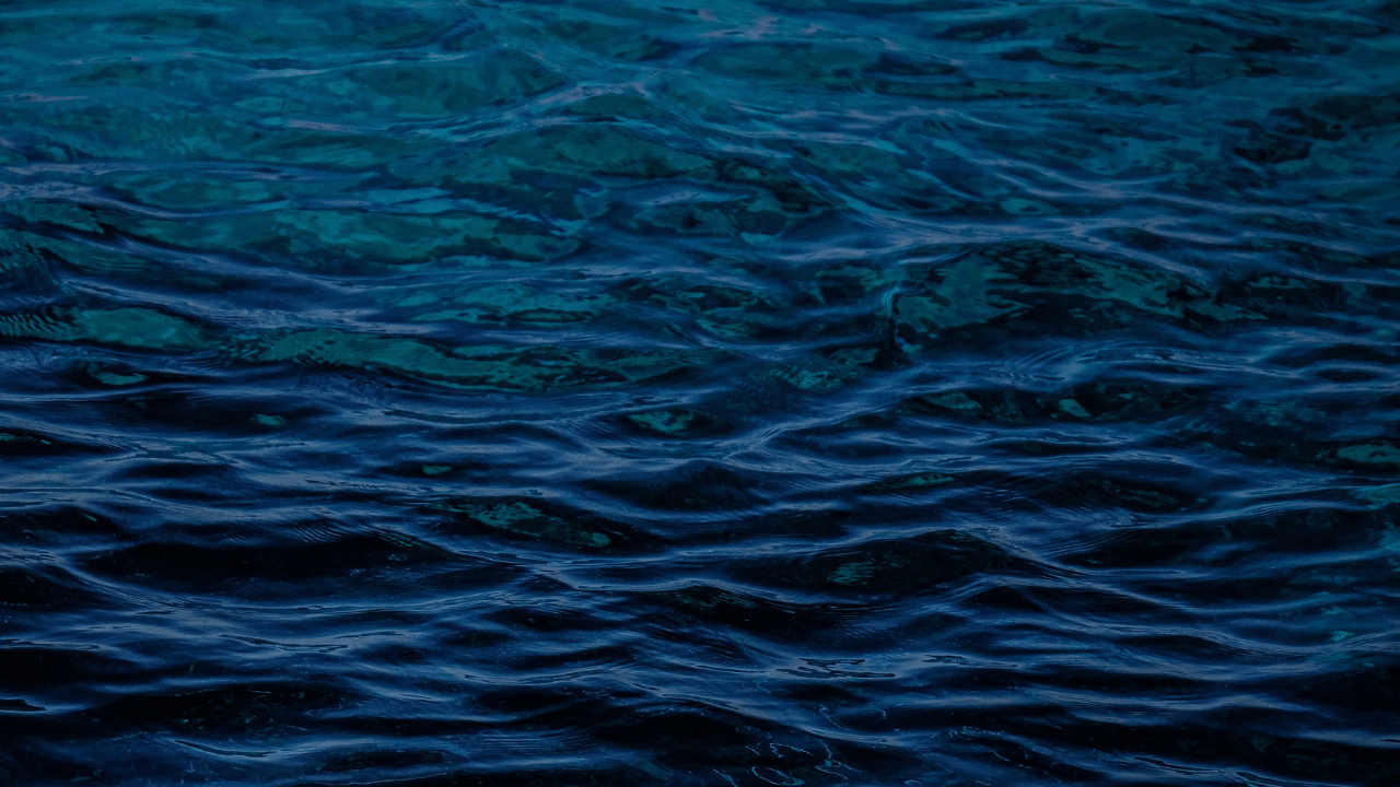 How We Grow The Worlds Best Spirulina - ENERGYbits