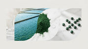 Inside Our Spirulina Production: From Cultivation to Finished Tablets - ENERGYbits