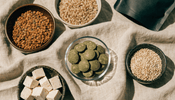 Is Chlorella a Complete Protein? A Guide for Vegans - ENERGYbits