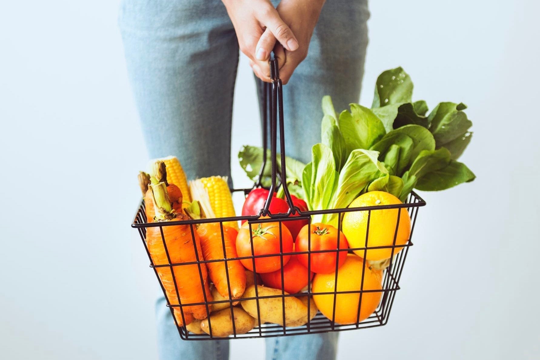 Mainly Plants Podcast Recap - ENERGYbits