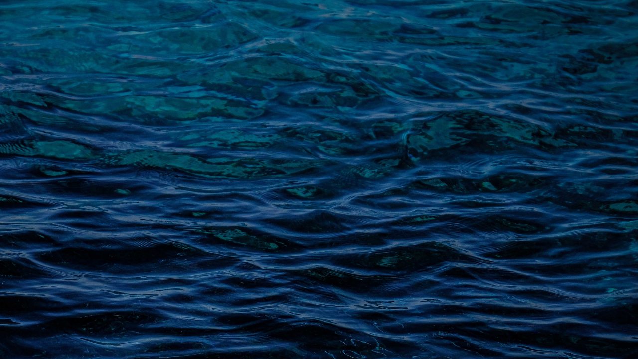 How We Grow The Worlds Best Spirulina