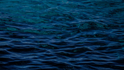 How We Grow The Worlds Best Spirulina