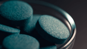 Spirulina Platensis vs Maxima: What Is the Difference? - ENERGYbits