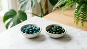 Spirulina vs Chlorella: Which Algae Supplement Is Right for You? - ENERGYbits