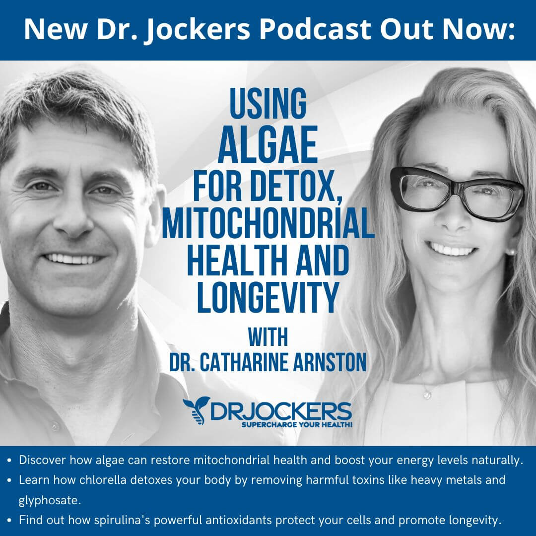 Using Algae for Detox, Mitochondrial Health & Longevity - ENERGYbits