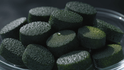 What Is the Most Nutrient-Dense Food in the World? - ENERGYbits