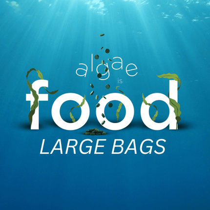 Large Bag Collection - ENERGYbits