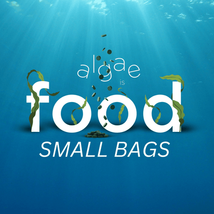 Small Bag Collection - ENERGYbits