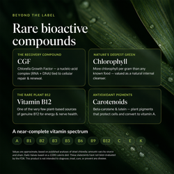 RECOVERYbits® Chlorella | Large Bag — imagen 5
