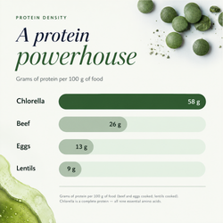 RECOVERYbits® Chlorella | Large Bag — imagen 6