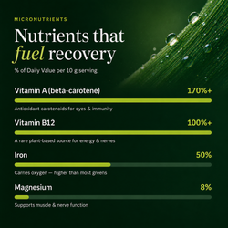 RECOVERYbits® Chlorella | Large Bag — imagen 4