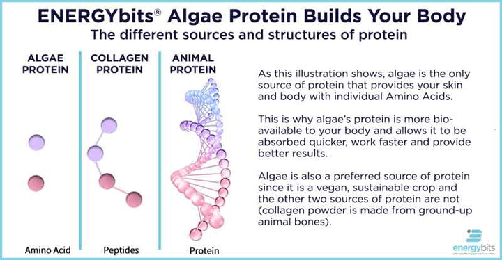 Algae Protein Info