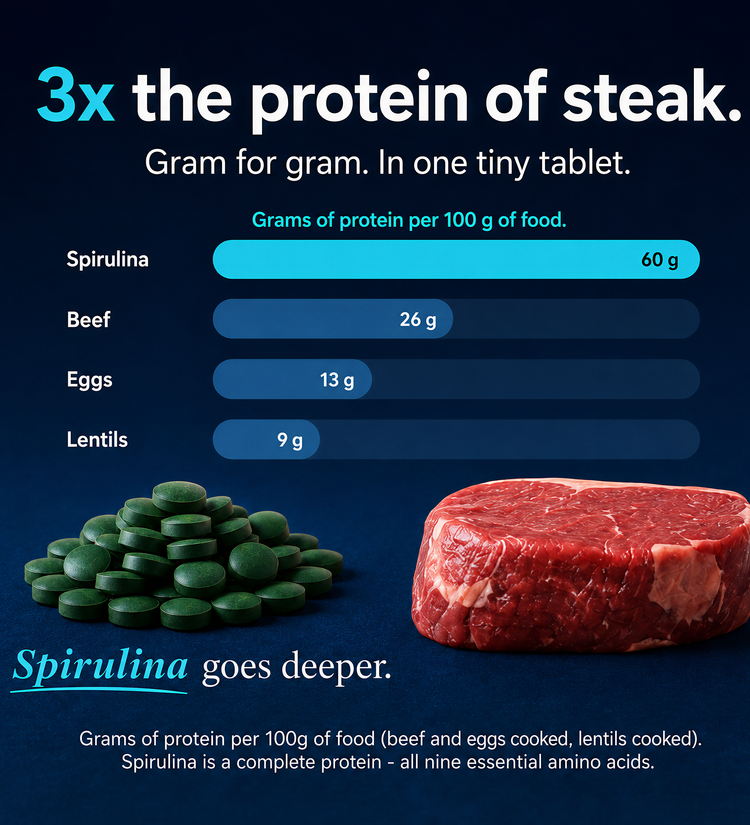 ENERGYbits® Spirulina | Large Bag