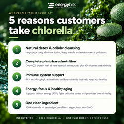 RECOVERYbits® Chlorella | Large Box — imagen 5