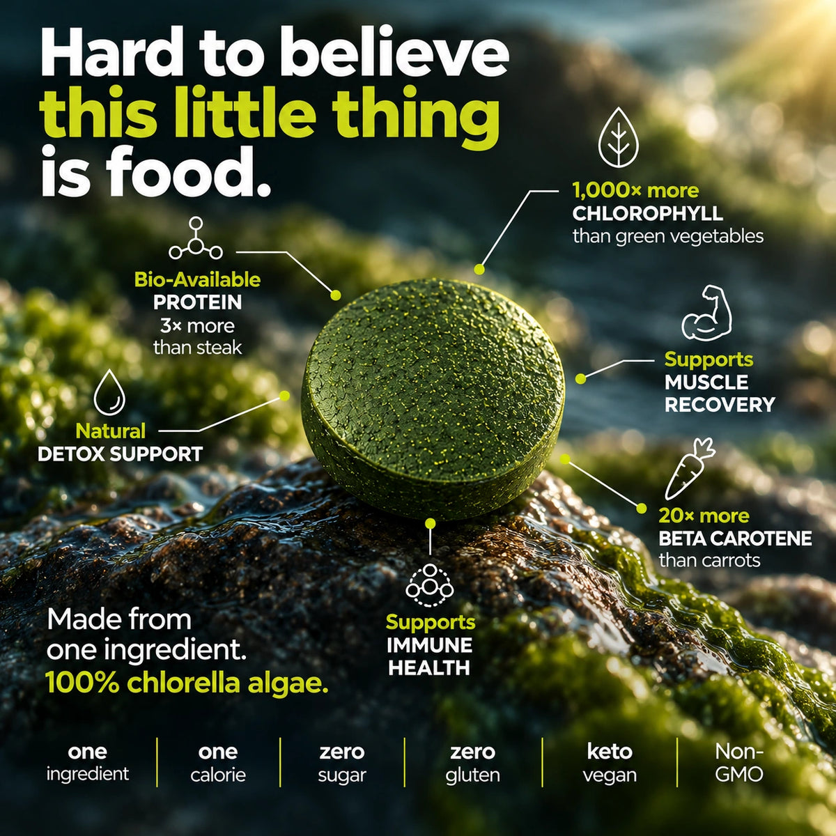 RECOVERYbits® Chlorella | Large Box — imagen 4