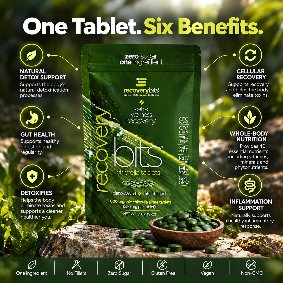 RECOVERYbits® Chlorella | Large Box — imagen 3