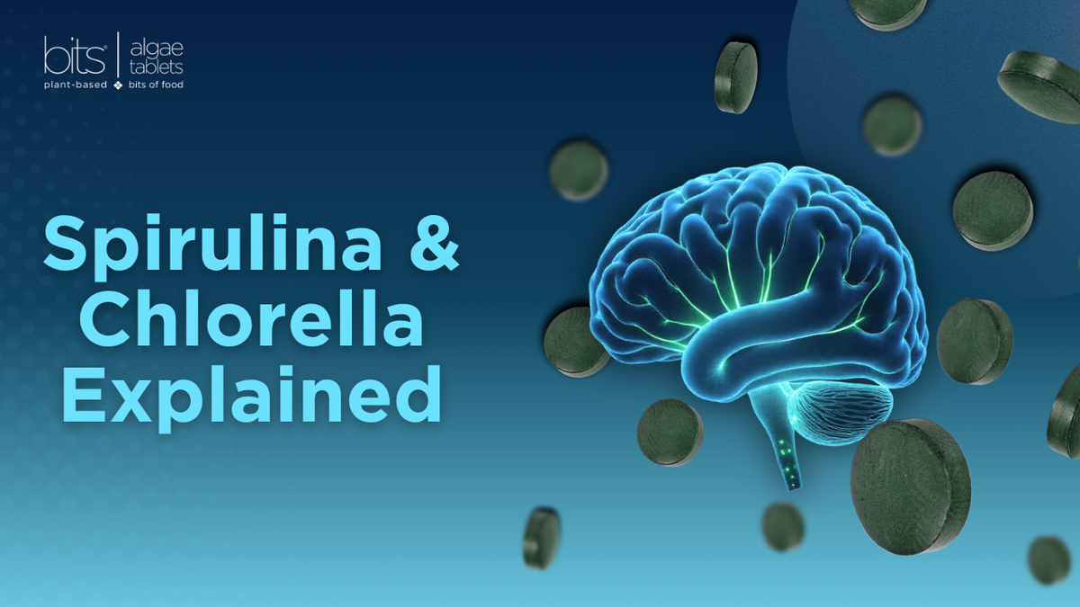 Digital graphic with the text 'Spirulina & Chlorella Explained' on a blue gradient background, featuring a glowing blue brain and floating oval pills. The 'bits algae tablets' logo is visible in the top left corner.