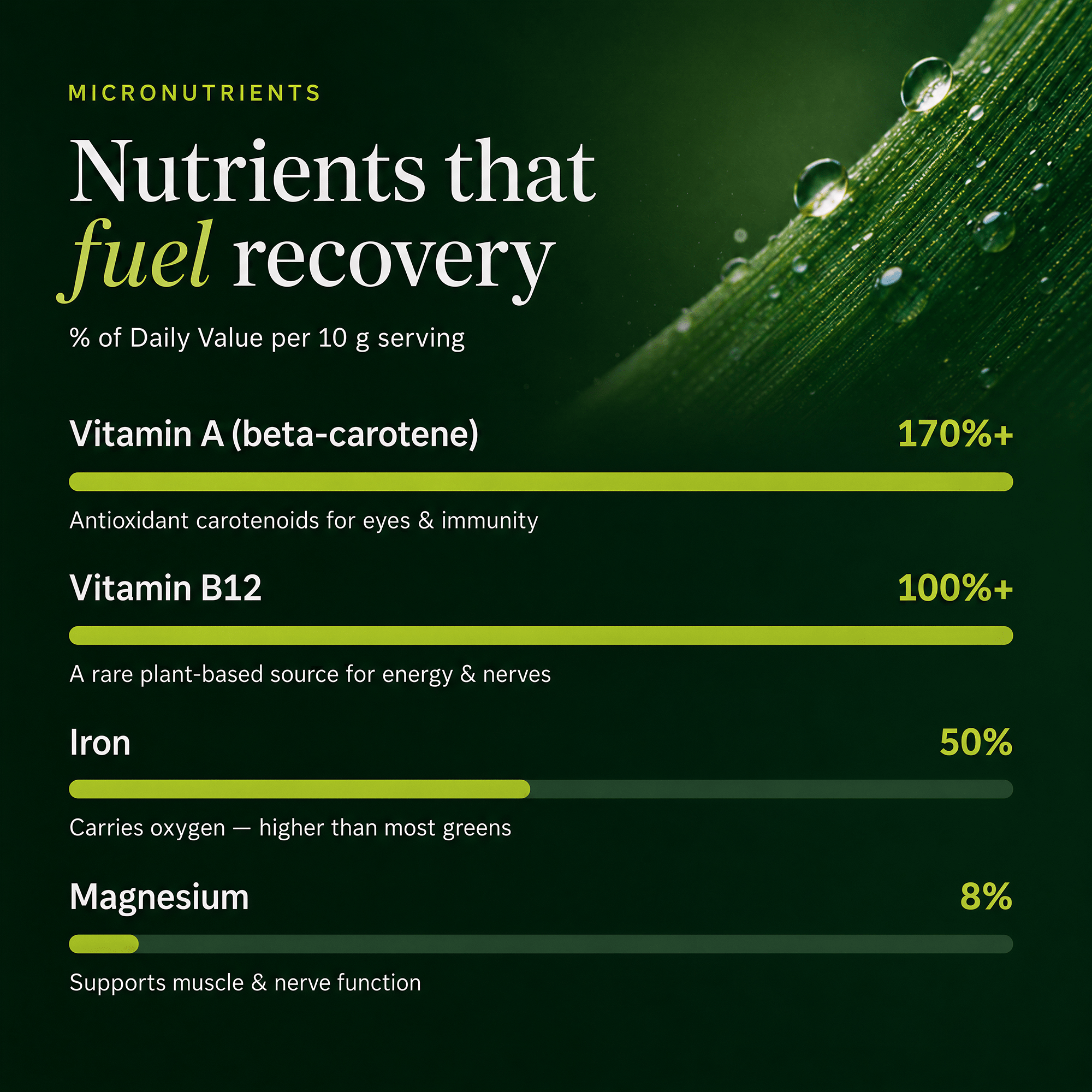 Bundle Set Energy + Recovery - ENERGYbits