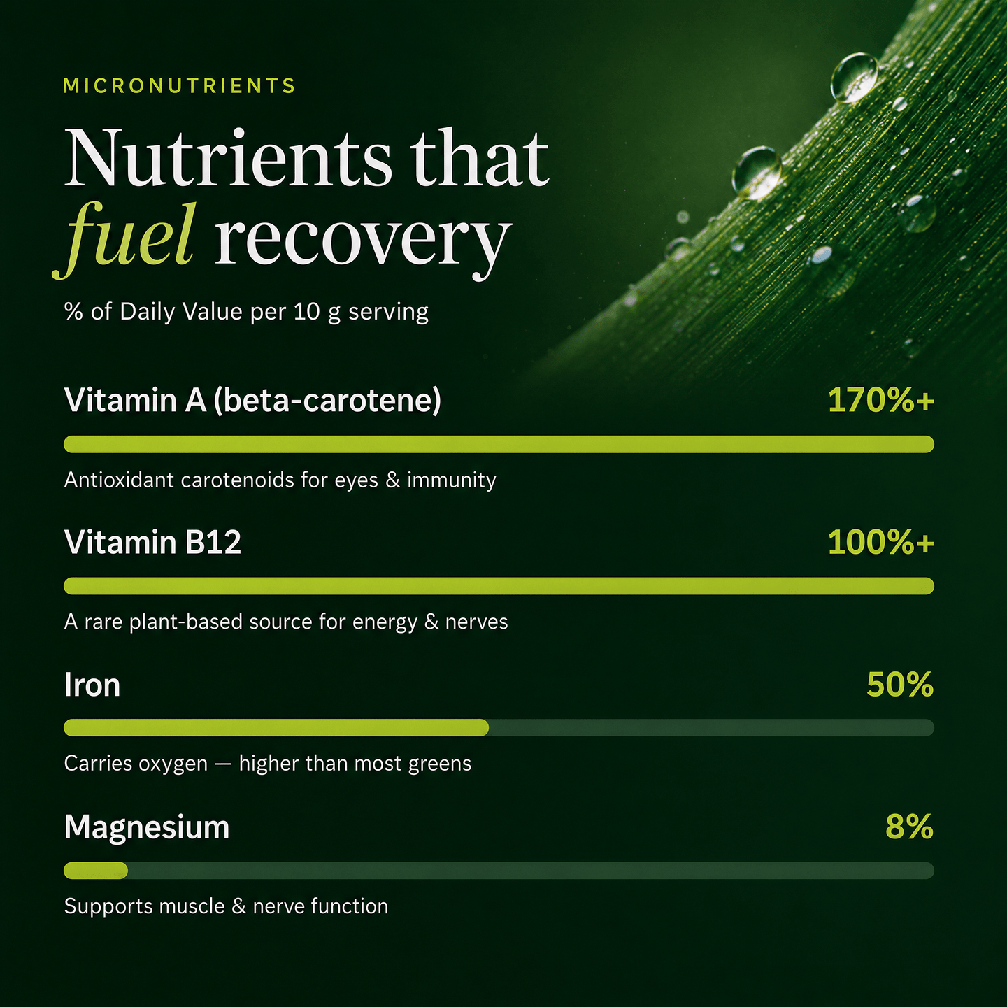 RECOVERYbits® | Large Canister — imagen 3
