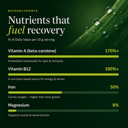 RECOVERYbits® | Large Canister — imagen 3