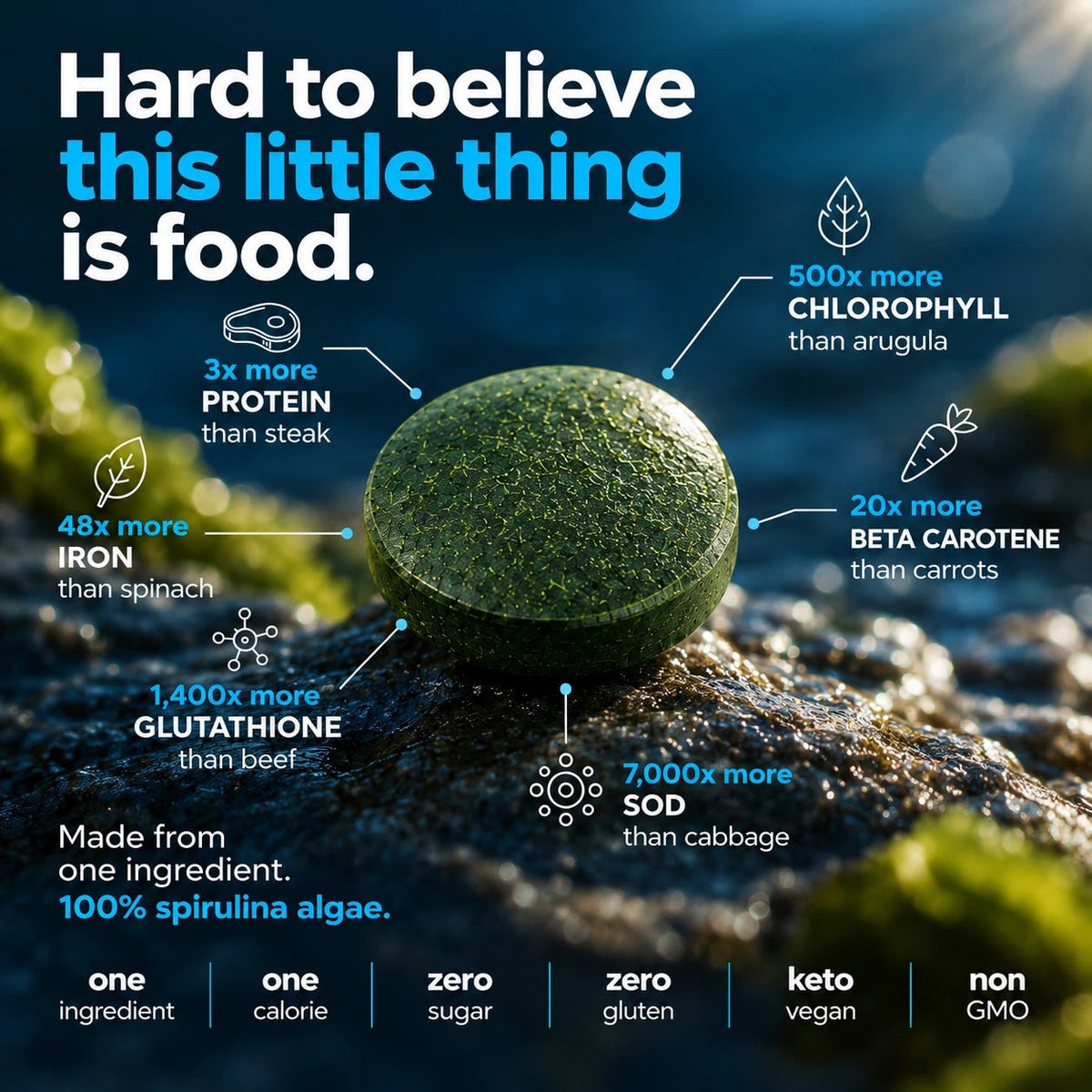 ENERGYbits® Spirulina | Large Box — imagen 3