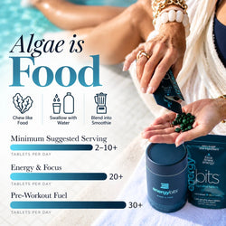 ENERGYbits® Spirulina | Large Bag — imagen 8