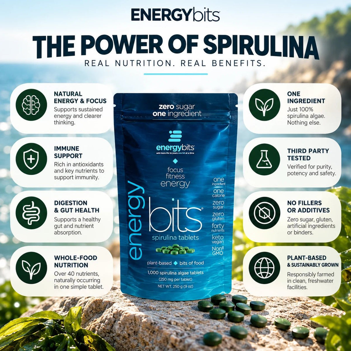ENERGYbits® Spirulina | Large Bag — imagen 6