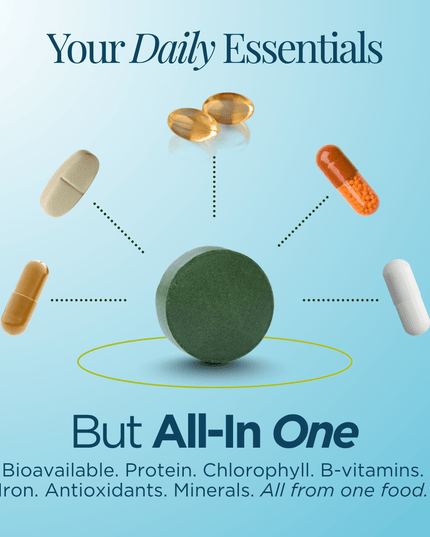 ENERGYbits® Spirulina | Large Bag - ENERGYbits