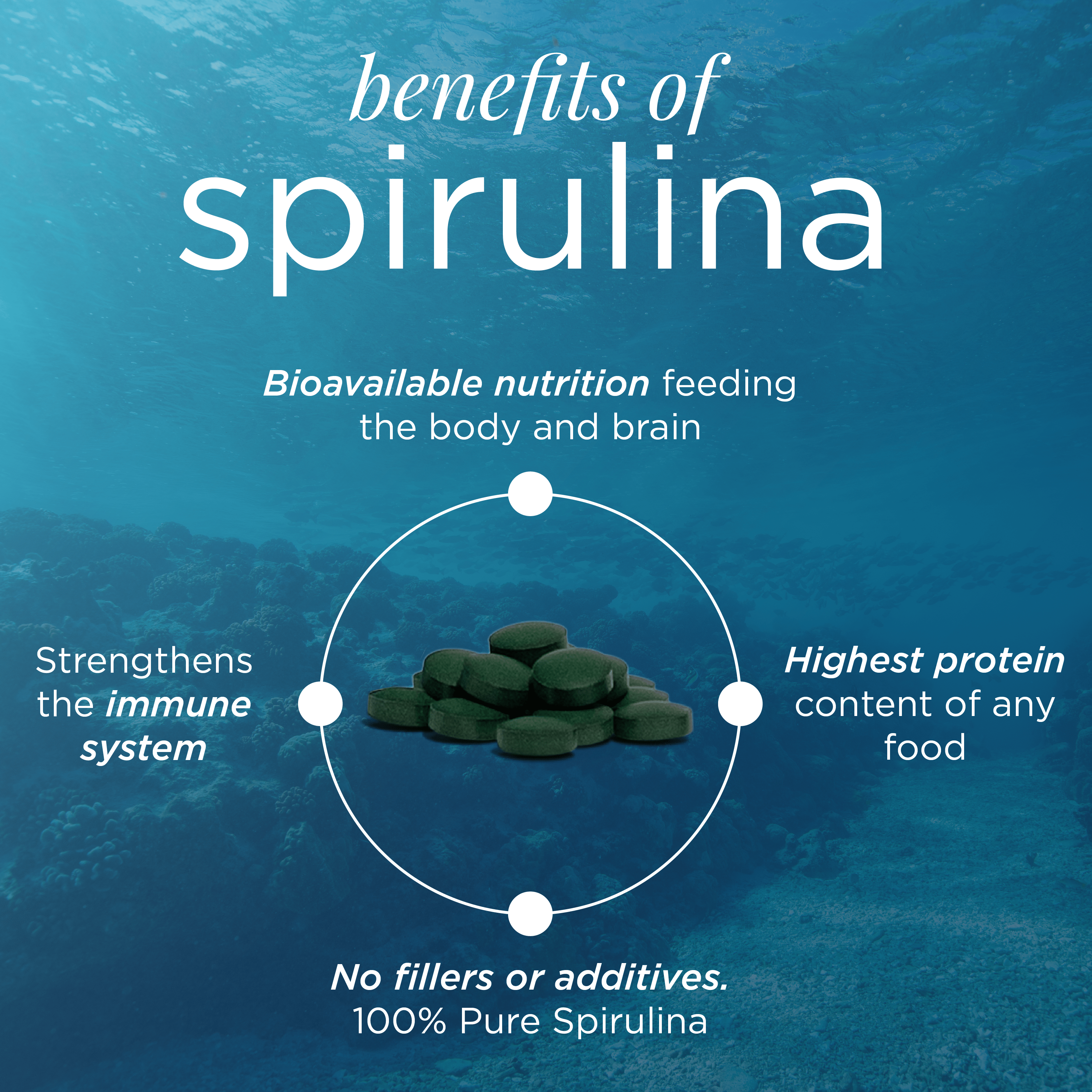 ENERGYbits® Spirulina | Large Bag - ENERGYbits