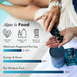 ENERGYbits® Spirulina | Large Bag — imagen 3