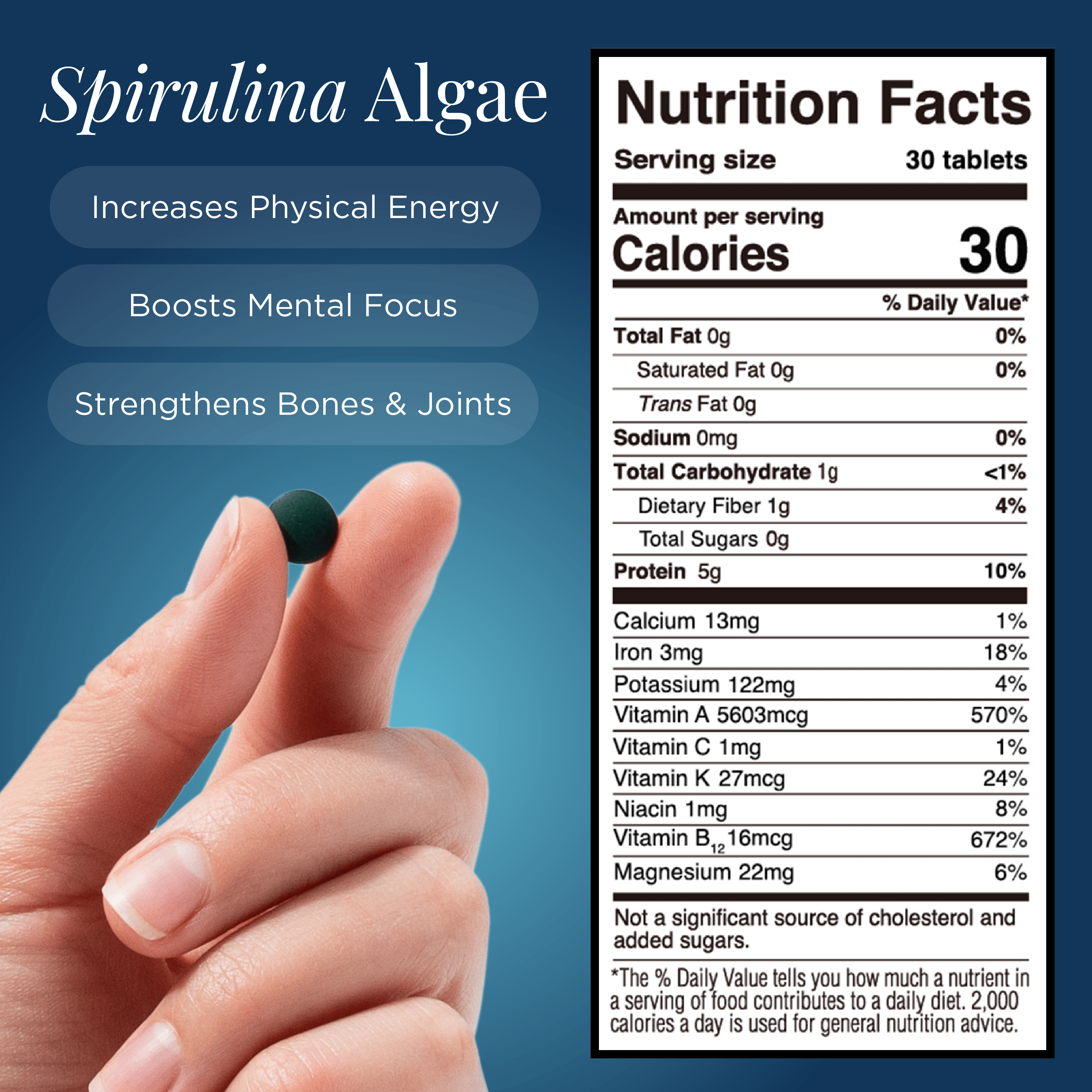 ENERGYbits® Spirulina | Large Bag - ENERGYbits