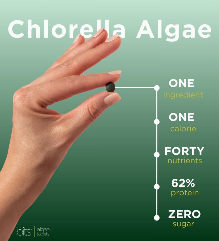 RECOVERYbits® Chlorella | Large Bag - ENERGYbits